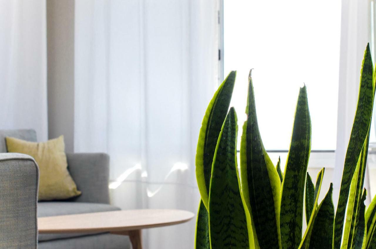 Thea Suites Potidea Nea Poteidaia Dış mekan fotoğraf